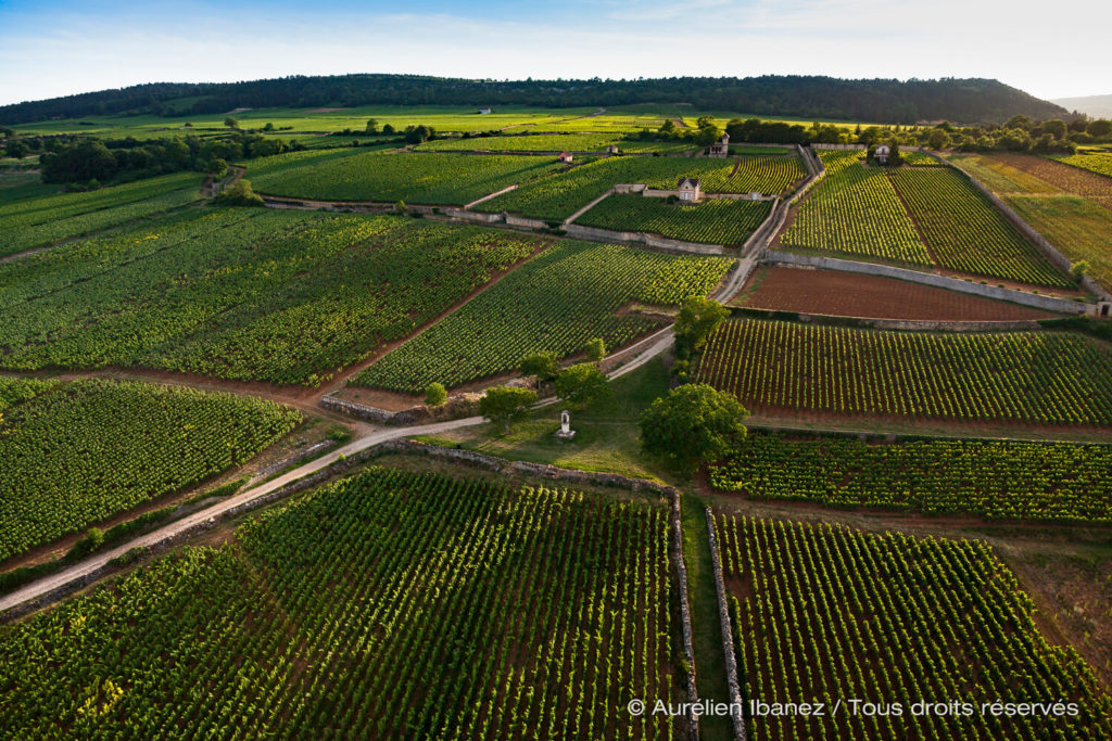 Les Climats du vignoble de Bourgogne